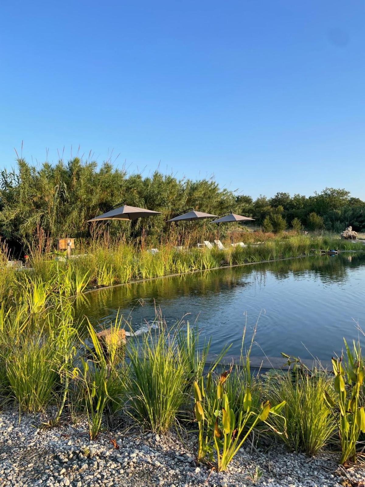 Bed and Breakfast La Siba Experience Форли Экстерьер фото