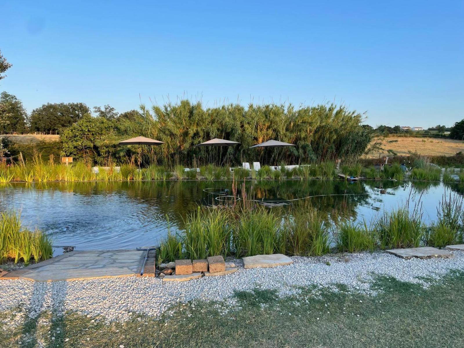 Bed and Breakfast La Siba Experience Форли Экстерьер фото